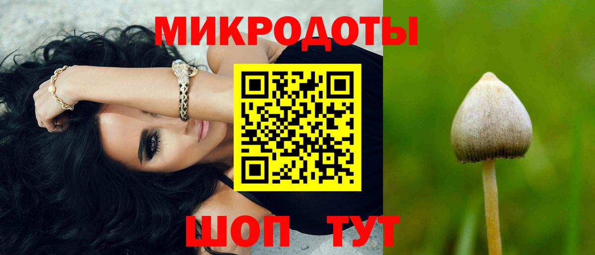 Галлюциногенные грибы Cubensis Фурманов